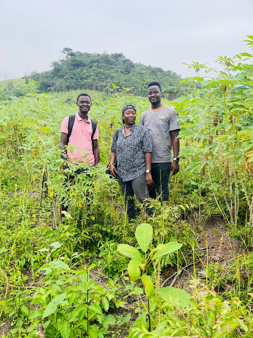 Agricultural Partnership in Action — SAFCAM Team and Local Farmers Collaborating at Cassava Farm in Bumpeh Ngo Chiefdom, Bo District